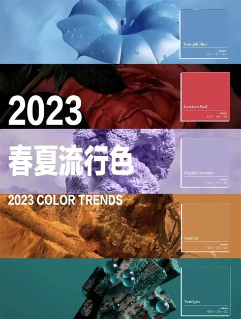 2023夏天顏色|色彩趋势 